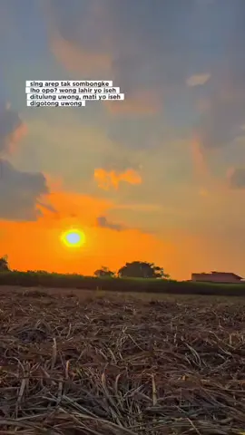 mojokerto punya cerita #fyp #mojokerto #padahariini  #petanitebu 