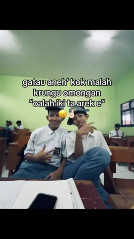 Gaomess