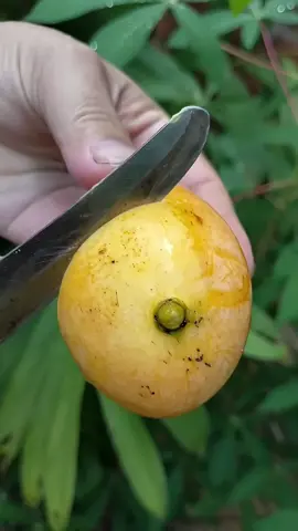 মেনশন দিয়ে যাও