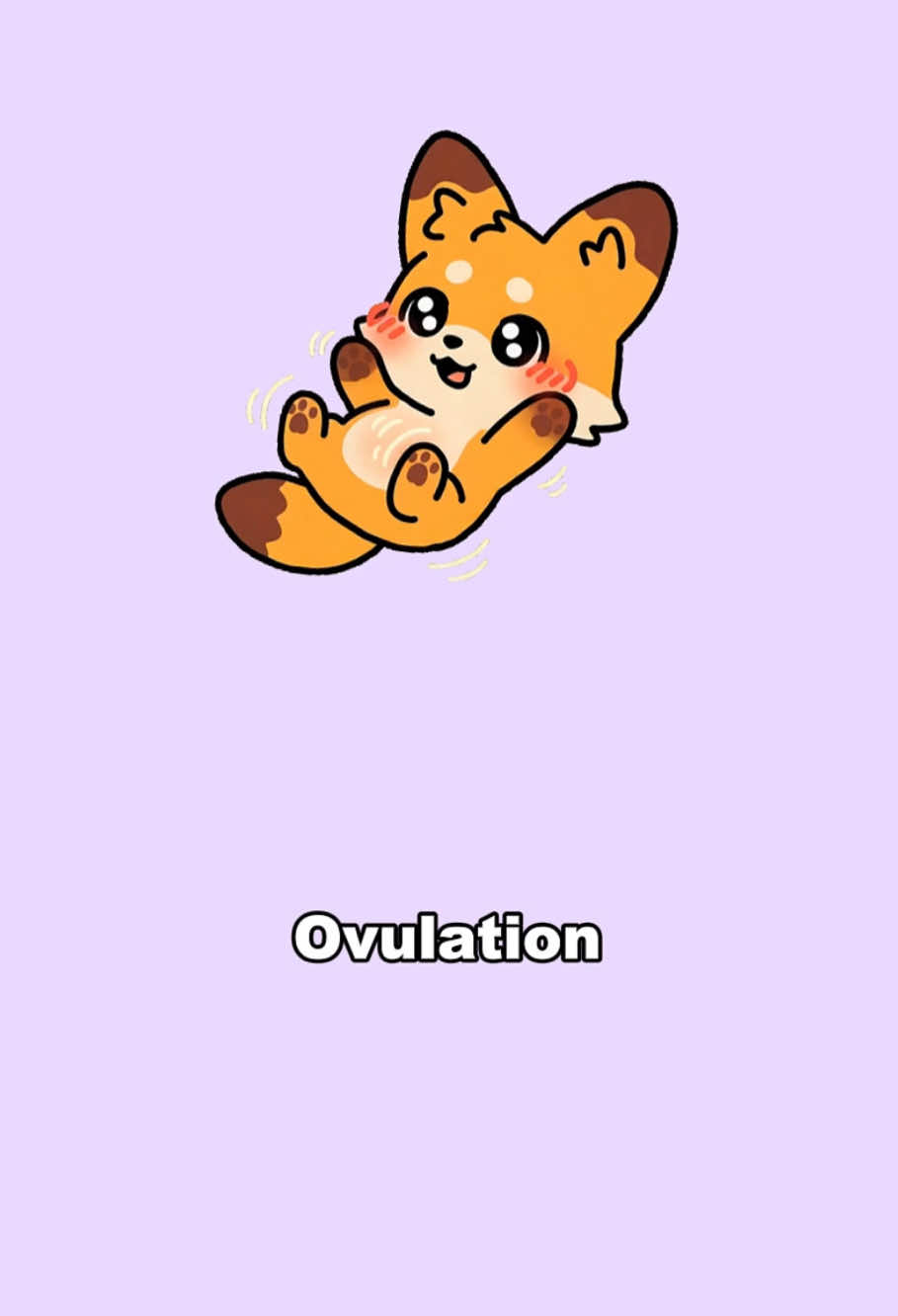 Why Foxy suddenly acts totally weird🧐🧐🧐#funny #foxyyyyy #furry #fox #animation #prettygirl #couple #cute #pretty #furrytiktok #Science #girlfriend #Love #girl #scienceexperiments #ovulation #anime 