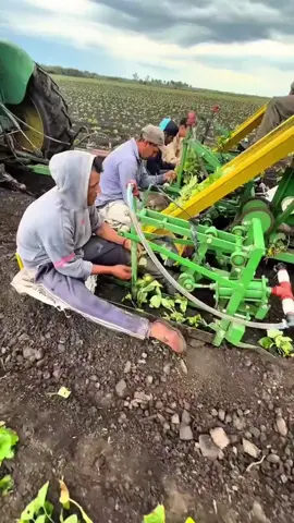 #quran  #alquran  #القران_الكريم  #quranrecitation  #recitation_of_the_quran 