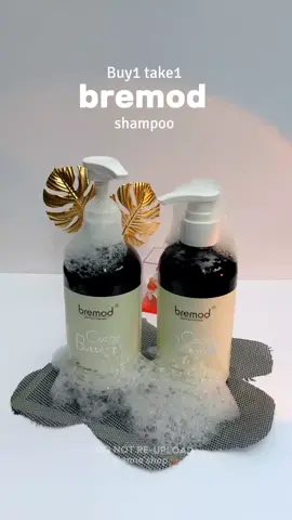 buy1take 1 bremod shampoo  #buy1tak1shampoo #tiktokviral  #fyppppppppppppppppppppppp 