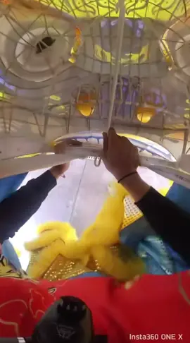 对于那些不知道创造独角兽美丽形象的人#lansurong#mualan #fyp 