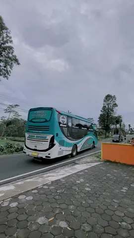 regudugan masuk garasi🥵 #anekabintang #anekabintangbus #fyp #trending 