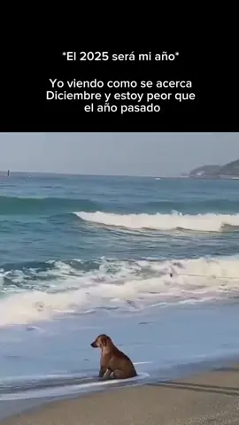 #2025 #viral #paratiiiiiiiiiiiiiiiiiiiiiiiiiiiiiii #fyp #tiktok