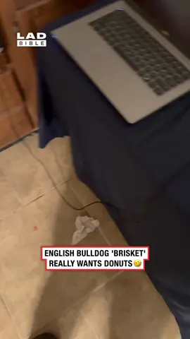He ran upstairs like he was grabbing his coat 🤣 (🎥: ViralHog)