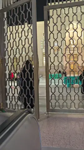 #وكيف_تصبر_على_ما_لم_تحط_به_خبرا #اللهم_صل_وسلم_وبارك_على_نبينا_محمد  #المدينة_المنورة  #المسجد_النبوي  #راحة_نفسية 