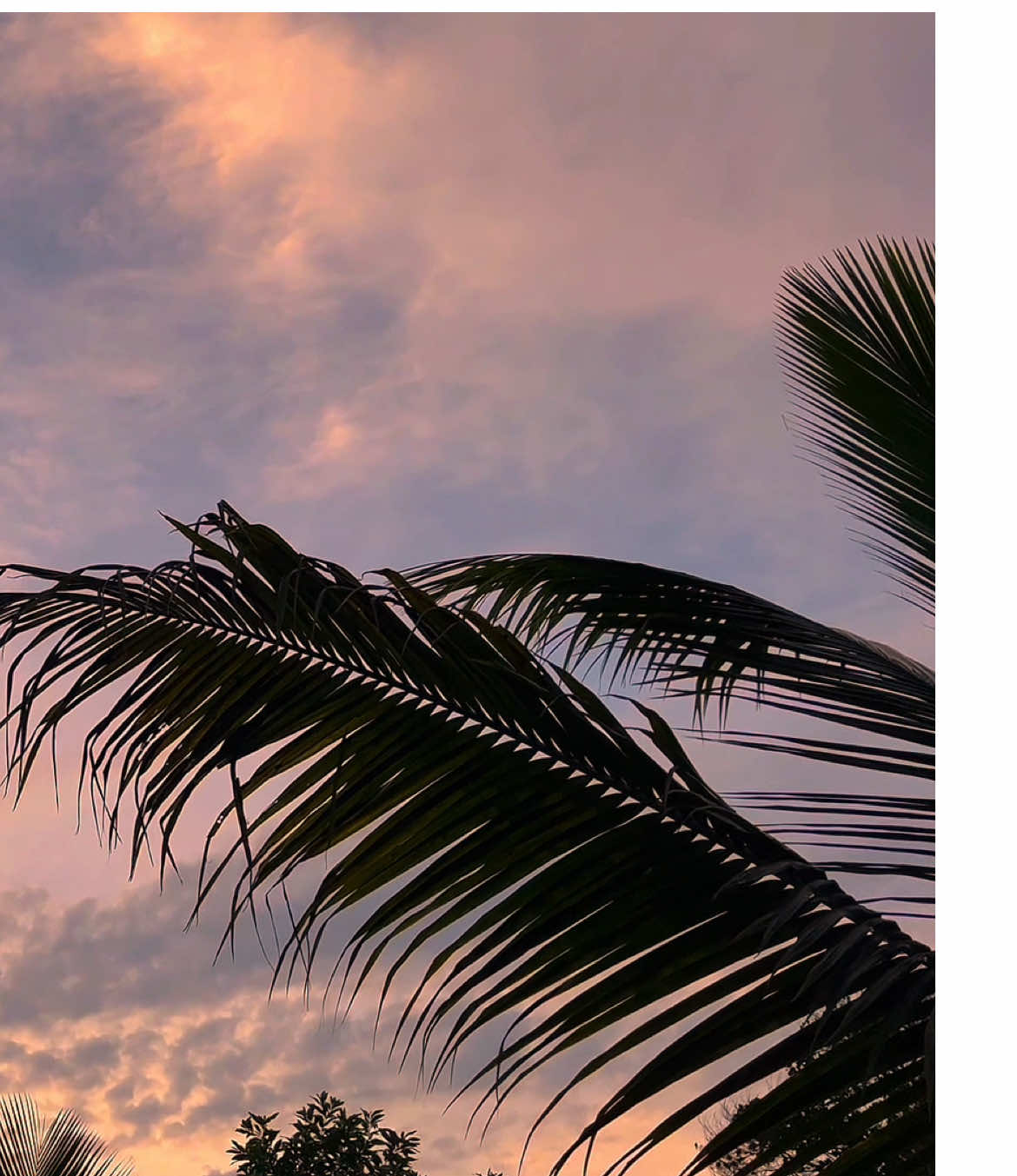 বুঝবা তখন 😅🤍 #nature_view_official #ইসলামিক_ভিডিও #islamic_video #fyp #viral 