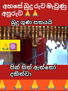 මේවා කවදාවත් වයිරල් වෙන් නෑ #trending #viwes #fyf #yyyyyyyyyyyyyyyyyy #trending 
