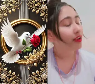 #duet with @টুকি #প্রবাসী 