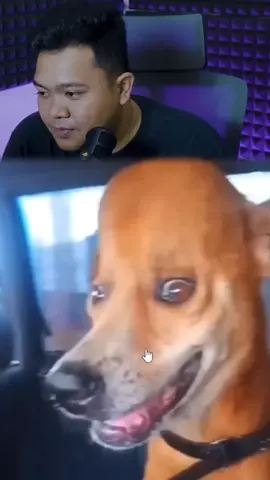 #yourdudh #yourdudhreaction 