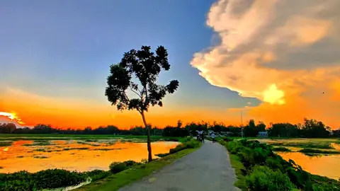 মনের মানুষকে মনেই রাখতে হয়' প্রকাশ করলে'ই হারিয়ে যায়..!😅❤️‍🩹🥀 #foryou #foryoupage #trending #tiktok #viral @RASHED🌚 @TikTok @TikTok Bangladesh 