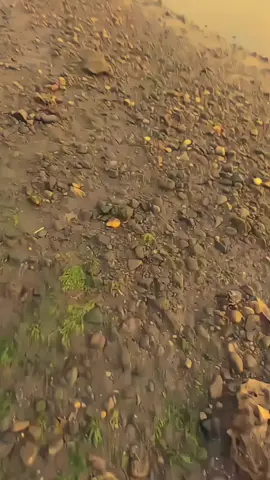 bt lebih baik berhenti,dari pada bt lanjut tapi tersesat #tiktoknews #fypage #butonpridre🏝️ #timurpride🔥 #sanset 