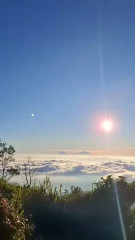Sama seperti hidup, alam tak pernah memberi tahu yang akan terjadi selanjutnya. bahwa sebagian hal akan selalu diluar kendali kita. Nikmati saja pertunjukannya. #fyp #gunung #lautanawan #sunset #pendaki 