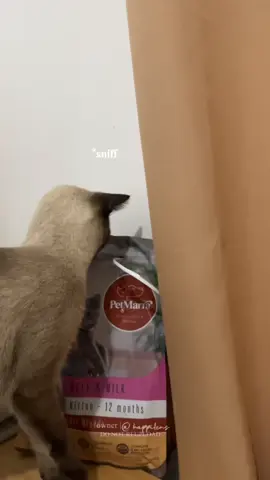 PetMarra cat food delivers premium nutrition with over 85% animal-based ingredients, offering a protein-rich formula that supports lean muscles, healthy skin, and a glossy coat all while helping reduce litter‑box odor! #petmarra #petmarracatfood #catsfood #petmarradryfood #catfood #catsoftiktok #catsvideo #fyp #foryoupage 