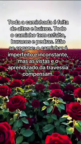 #deus #vida #saude #fe #vitoria 