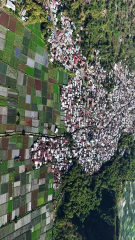 Buat teman-teman yang sedang berkunjung ke lombok dalam rangka nonton MotoGP Mandalika, jangan lupa untuk datang ke Desa Sembalun, pemandangannya indah dan adem. Yuk ke Sembalun🙌 #sembalun #lombok #motogp #gpmandalika #indonesia