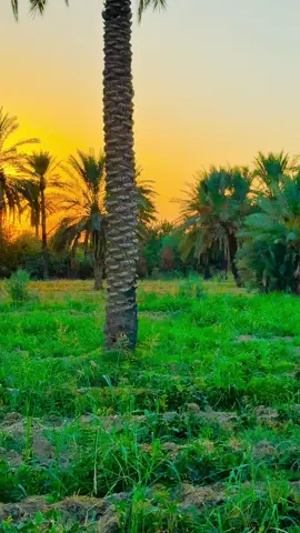 واللي يحبك مايشوف الناس ❤️😔#قتباسات #عبارات #خضير_هادي #تصويري #الفديو_موجود_بقناتي_تلكرام_بلبايو🦋💘 
