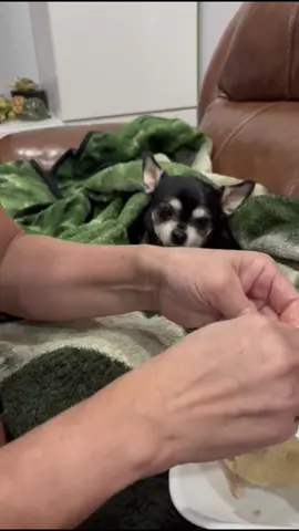 #onthisday un día antes que te fueras . Cuánto dolor , no se puede explicar. Estarás siempre con nosotros #Rio #dog #momdog #doglovers 