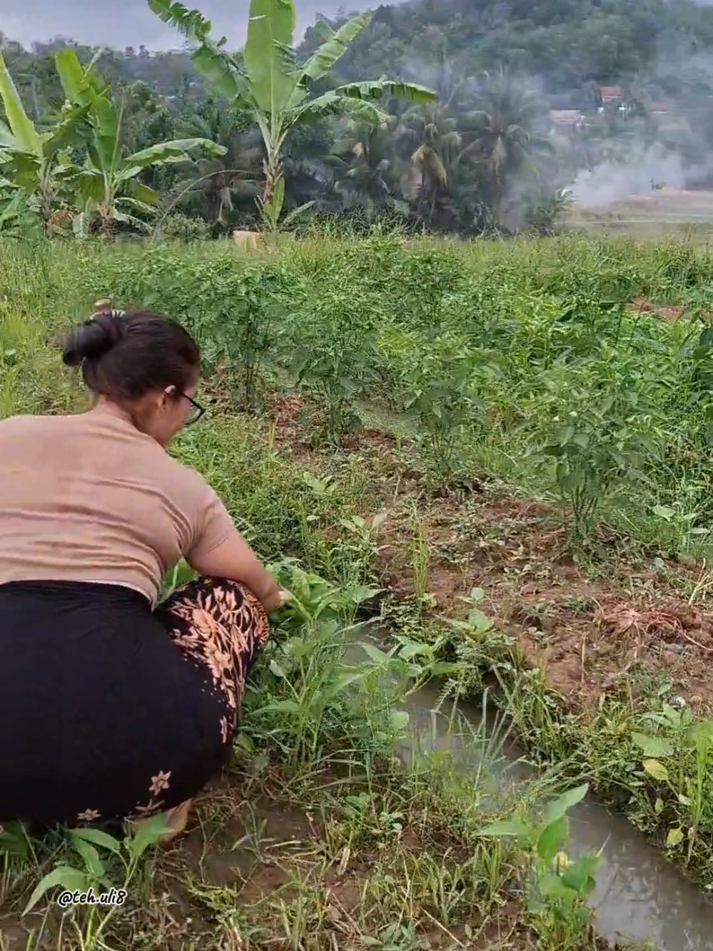 Hidup Di desa #pedesaan #suasanapedesaan #saung #sawah #hidupdidesa 