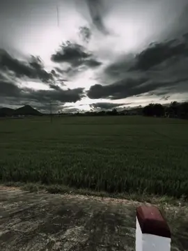 Phần 3 | 爱情就像火焰，如果不懂珍惜，它很快就会熄灭。“Tình yêu giống như ngọn lửa, nếu không biết trân trọng, nó sẽ sớm lụi tàn.”