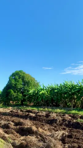 #allow inoo naxariso yaarabal calamin🤲