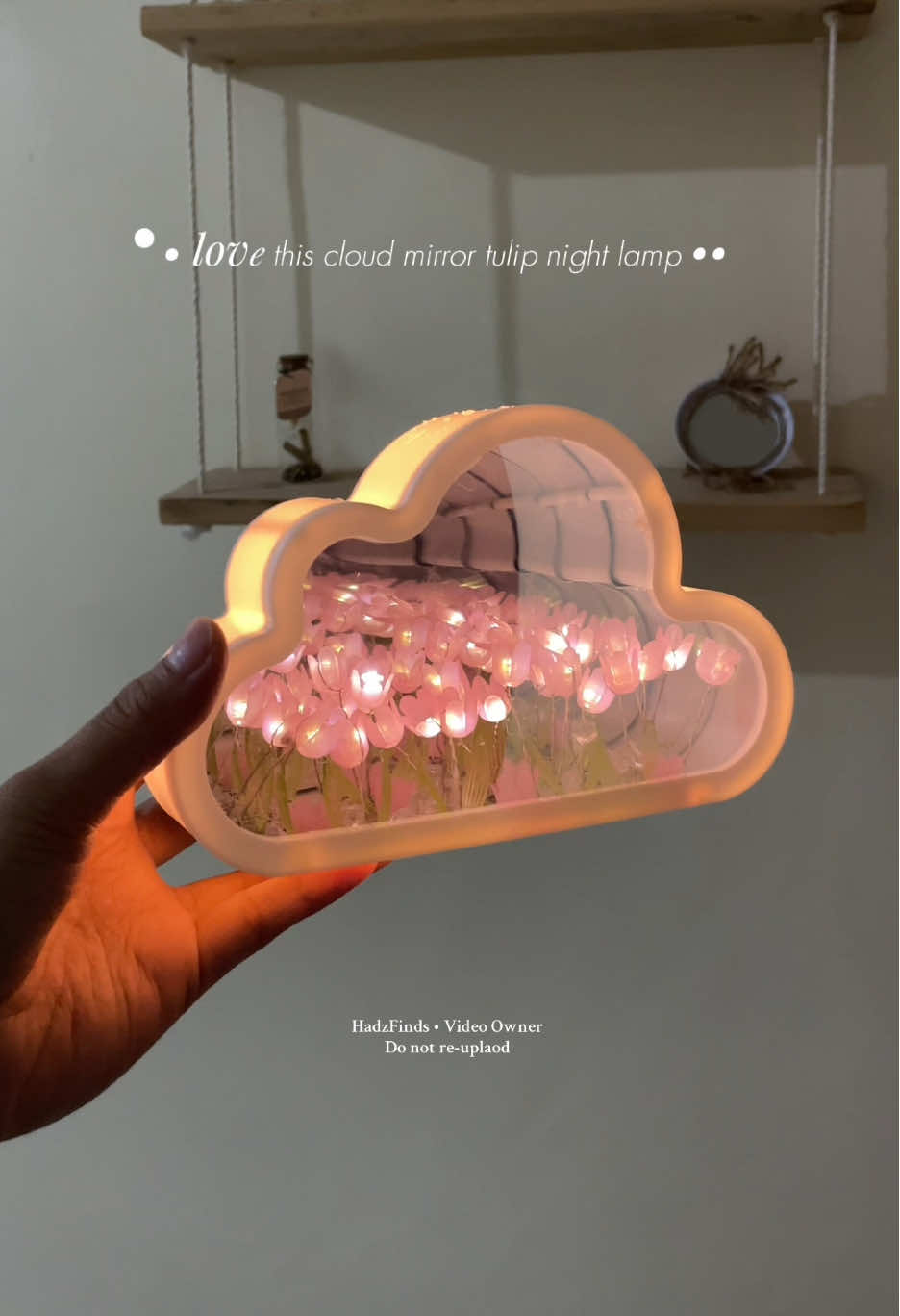 Found the mirror cloud tulip night lamp. #lamp #tuliplamp #cloudmirror 