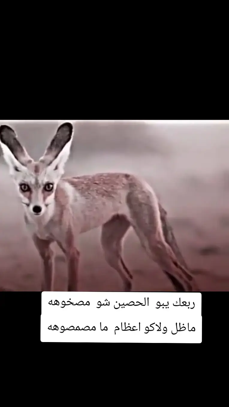 #شعر #ربع #ليك______🖤___متابعه____اكسبلووور 