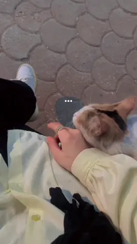 #مالي_خلق_احط_هاشتاقات 