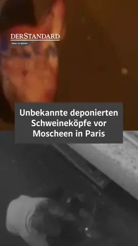 Bulgar:innen und andere Täter:innen vom Balkan hatten in den vergangenen zwei Jahren schon ähnliche Aktionen getätigt – ganz offensichtlich, um in Frankreich Zwietracht zu säen und für soziale Unruhen zu sorgen. Sie sprühten Davidsterne an Hauswände oder rote Hände auf das jüdische Holocaust-Memorial in Paris. Vor den Olympischen Spielen von 2024 hatten sie in Paris eine Bettwanzen-Hysterie zu schüren versucht; beim Eiffelturm deponierten sie fünf Särge, auf denen zu lesen war: 