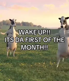 October 1st already???? not me posting this at 12:03am NZDT😭 #cow #edit #wakeup #thefirstofthemonth #meme 