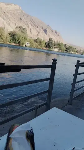 #الشعب_الصيني_ماله_حل😂😂 #مشاهير_تيك_توك #العراق_السعوديه_الاردن_الخليج 