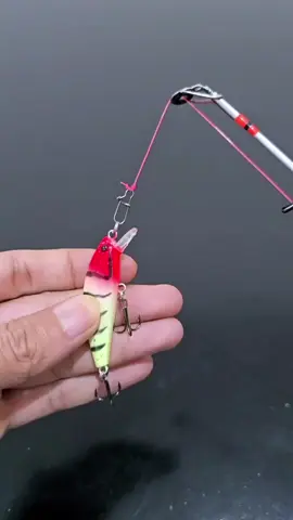 Tips for Assembling Casting and Bottom Fishing in One Rig #knottutorial #fishing #usafishing #knot #fishingknot #usa #floridafishing #technique #fishinglife @Fishing Explained 