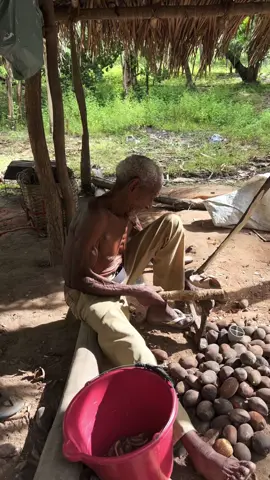 Vídeo lindo #bibitoks 