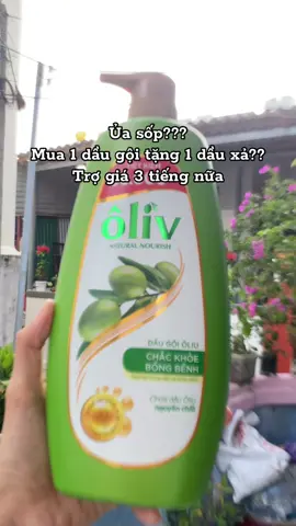 Bà nào săn được chưa#daugoioliv #dauxaoliv #oliv 