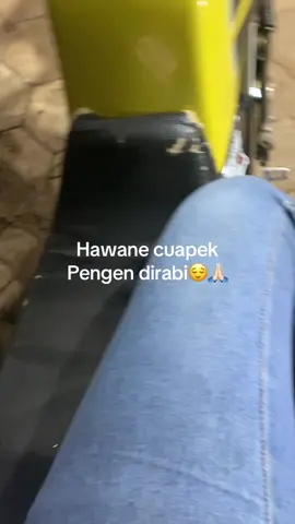 Momong yus#fyppppppppppppppppppppppp #bangsriterkini #foryoupage #dianapcomeback @Dompo PartyLosst 