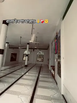 সবাই বলি ইনশাআল্লাহ ❤️‍🩹❤️‍🩹#islamic_video #allah #plzviral🥺🥺🙏🙏foryoupage #🕋📿🕌regay_islam🌼🦋🤲 @SHAKIL VAI ❤️‍🩹 