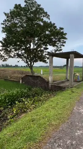 আমার আম্মু যে আমারে এমন ভাবে ফাঁকি দিয়ে চলে যাবে আমি কল্পনাও করতে পারি নাই। সবাই দোয়া করবেন আমার আম্মুর জন্য ৩৩ দিন হয়ে গেল?? 