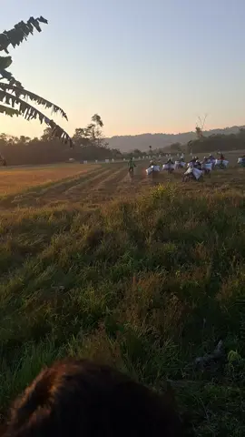 #taxigacor🔥🔥 #taxigabahsulawesi #fyp 