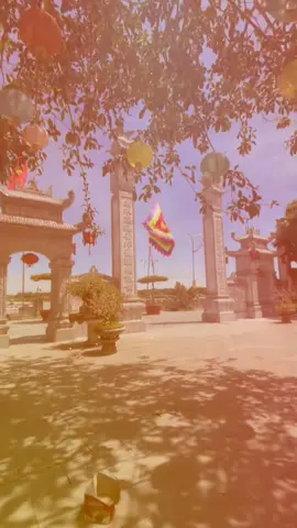 Đường về thanh hoá bao xa Nhớ cô bơ thoải rẽ qua đền hàn  Biết cô mặt phấn má hồng  Biết cô mặn nồng yêu thương #xuhuong#tuphu#cobothoaicung#dencobothanhhoa#