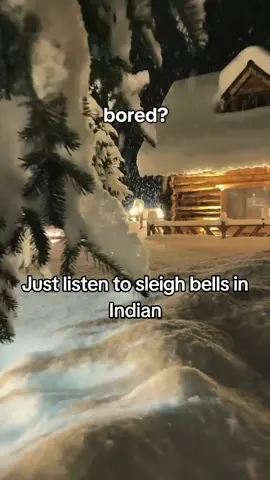 embrace the culture #indianversion #india #sleighbells #christmas #itz_adi 