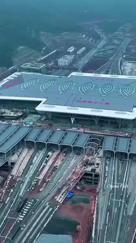 #creatorsearchinsights #torsearchinsights 