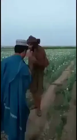 #پشتون_تاجیک_هزاره_ازبک_زنده_باد🇦🇫 