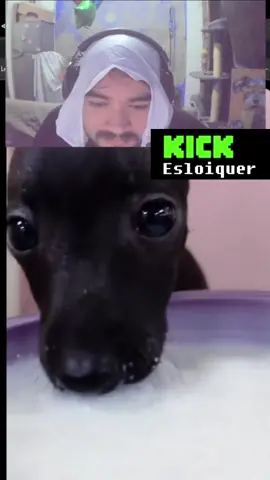 #paratii #kick #kickclips #humor #clipskick #esloiquer