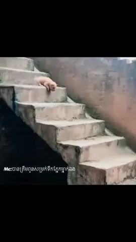 ឈឺចាប់#alone 😪