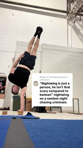 Replying to @harubeeeeeeeee 100% how is be moving around Bludhaven  #nightwing #dc #circus #straps #aerial 