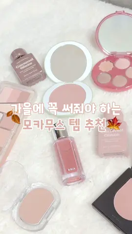 가을에 꼭 써줘야하는 모카무스템 추천 CLIO 프로 프로 아이 팔레트 에어  15 텐브라운은 기분이 조크든요 BBIA 레디 투 웨어 아이팔레트  10 커스텀 커피 fwee 포켓 아이 팔레트  EP04 솔티카라멜 freshian 에그라이크 크림 블러셔  07 밀키모카 nuegray 스웨이 치크 블러셔  06 씬 BBIA 라스트 블러쉬  15 시나몬로즈 alternativestereo 카라멜 글레이즈 01 밀크카라멜 05 카카오 50% BBIA 오버 글레이즈  14 메이플당 #makeup #올리브영 #fyp #추천 #추천떠라 
