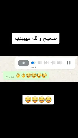 #شعب_الصيني_ماله_حل😂😂 #ههههههههههههههههههههههههههه 