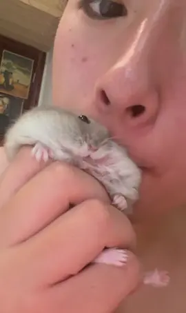 Học mệt là làm 1 hơi chịu mới nổi #kanapetlover 