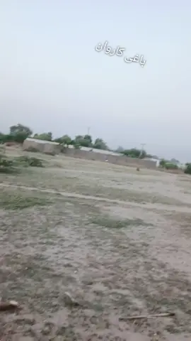 #viral #Video#pleazeunfreezemyacaunt #زڑہ👈💔 